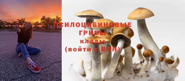 стафф Горно-Алтайск