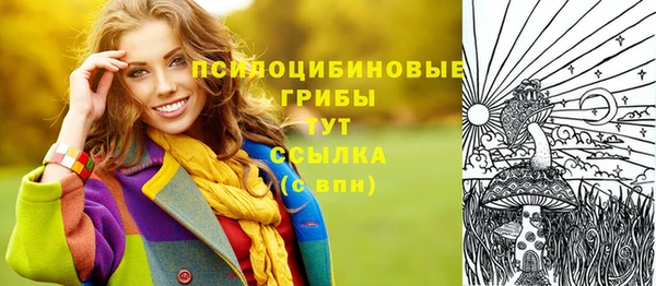 МДМА Горняк