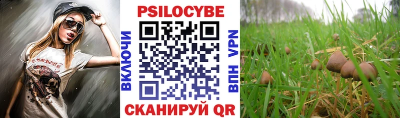 Псилоцибиновые грибы ЛСД  Меленки 